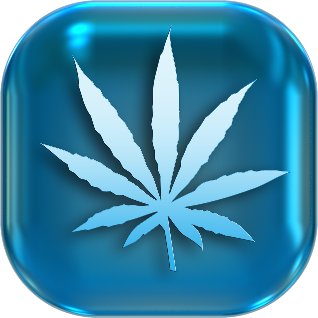 Erba - HASH