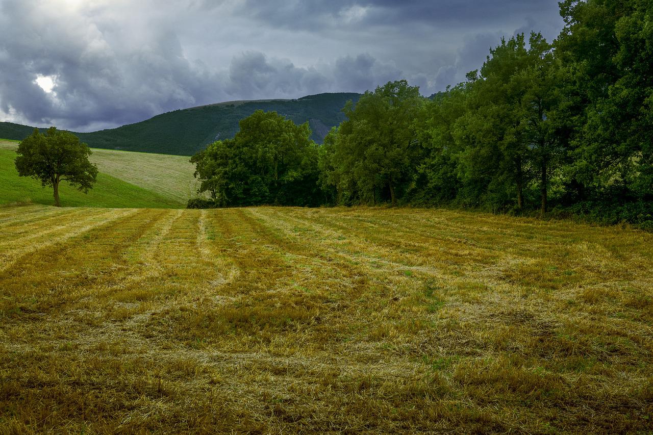 landscape-ga63a0f504_1280